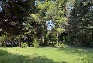 Privates Wohngefühl auf höchstem Niveau – Gartenwohnung mit allem, was das Herz begehrt | ZELLMANN IMMOBILIEN