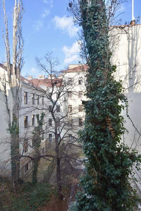 Sanierungsbedürftige Wohnung Nähe Matzleinsdorfer Platz !