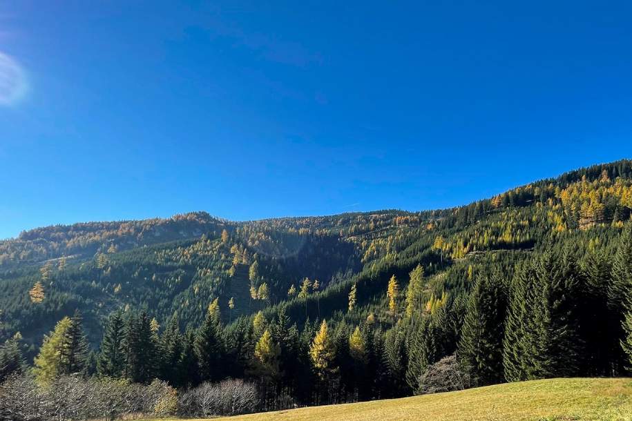 155 Hektar Forst- und Jagdrevier im Bezirk Wolfsberg, Gewerbeobjekt-kauf, 9400 Wolfsberg