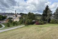 Gasthaus, Zimmer, Wohnung, großes Grundstück - Entwicklungspotential