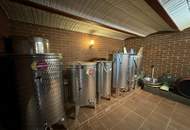 IN SLOWENIEN! Winzerhaus mit Weingarten und Blick bis zum Horizont!