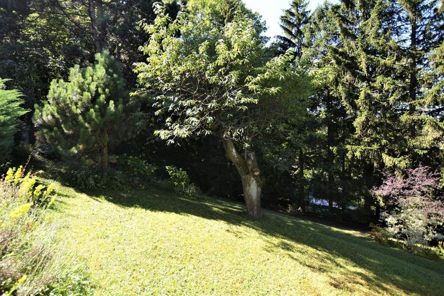 Baugrundstück im Augustinerwald - Naturidylle mit Hanglage, Grund und Boden-kauf, 299.000,€, 1140 Wien 14., Penzing