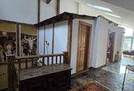 Traumhaftes ehemaliges Winzerhaus in Traiskirchen: 460m² Luxus - großzügiges Leben und Arbeiten unter einem Dach!