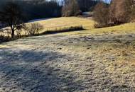 RARITÄT: LANDWIRTSCHAFT IM ERZHERZOG JOHANN BAUSTIL IM OSTSTEIRISCHEN HÜGELLAND - ERWEITERBAR