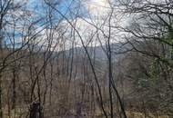 Ob alte Villa-neuer Bau, auf Riesengrund nach Süden schau!