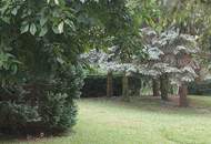 Eigengrund in Bestlage der Siedlung Wolfsbergen/Hagenbrunn