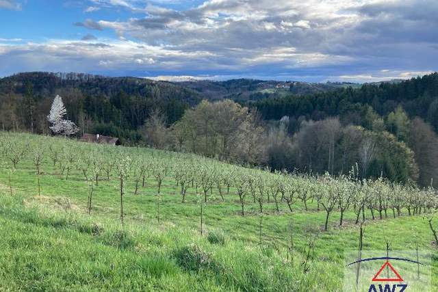 Landwirtschaftliche Fläche: Obstplantagen - Quittenkultur!, Grund und Boden-kauf, 10,€, 8333 Südoststeiermark