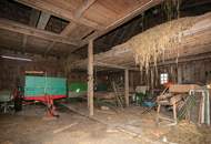 Sanierungsbedürftiger Bauernhof mit großem Grundstück