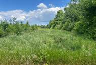Modernes Neubau Reihenhaus mit Garten, Keller und Parkplatz