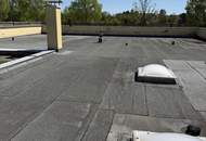 Projektliegenschaft mit 380 m² Nutzfläche, Gewölbekeller &amp; Ausbaupotenzial