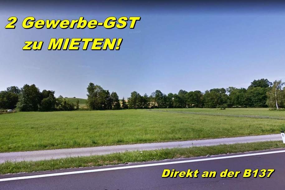 Gewerbegrundstück für Betriebe - DIREKT an der B 137 zwischen Wels und Schärding!, Grund und Boden-legalform.pacht, 4720 Grieskirchen