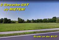 Gewerbegrundstück für Betriebe - DIREKT an der B 137 zwischen Wels und Schärding!