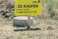 4 kleine Grundstücke am Stadtrand !