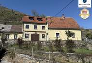 Preissenkung! Förthof: Winzerhaus mit großem Garten und Donaublick