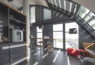 Modernes DG-Büro (Maisonette) mit perfektem Donau-Weitblick ab August 25 im RIVERGATE!