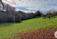 Haus mit 1,7 ha landwirtschaftlicher Nutzfläche und Quellwasser