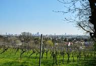 Verkaufsstart! großzügige, gut geschnittene 2 Zi Gartenwohnung_EDMUND
