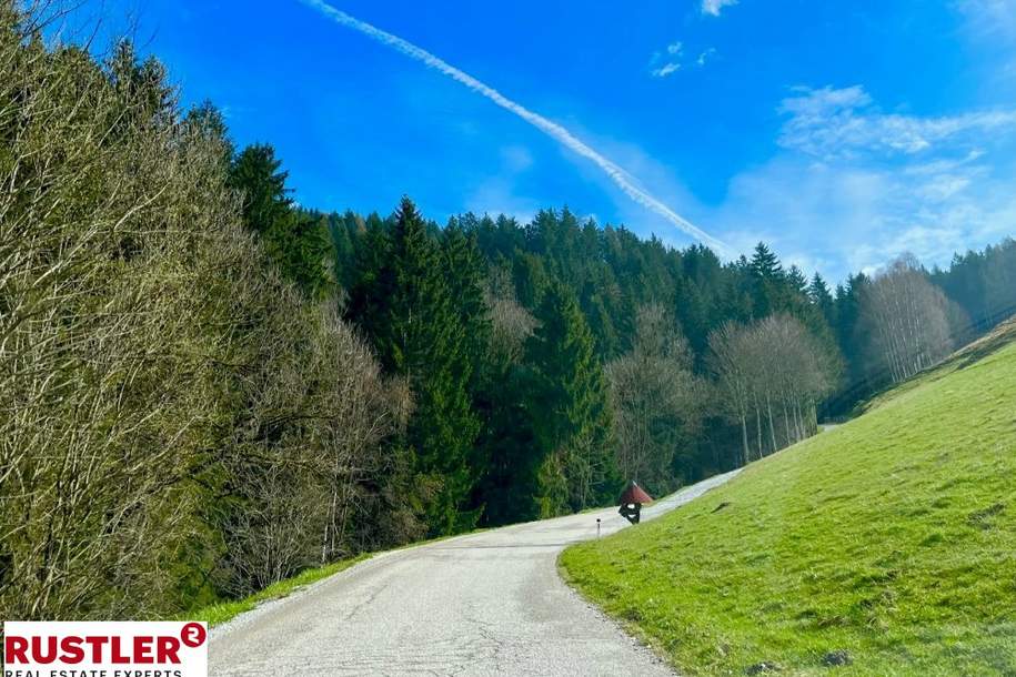 Baugrundstück im Ausmaß von 2.175 m² mit Almcharakter Naturparadies Lavanttal, Grund und Boden-kauf, 152.250,€, 9400 Wolfsberg