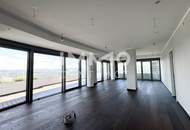 Ganz viel Balkon & ganz Wien im Blick (Gym, Pool, Sauna, Doorman uvm): Neubau-Erstbezug DANUBEFLATS