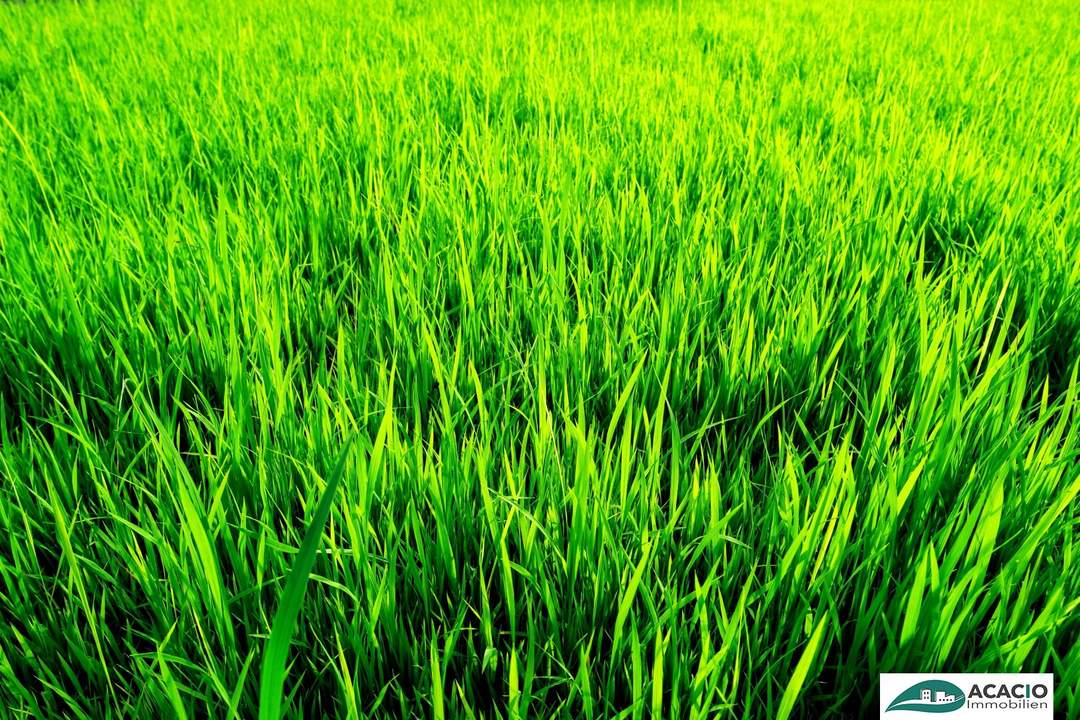 Bauplatz in Michelhausen, im Herzen des Tullnerfelds