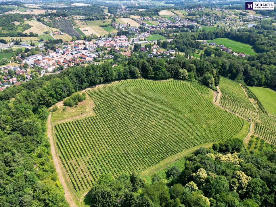 IHRE EIGENEN CHALETS! TRAUMHAFTES GRUNDSTÜCK AN DER SÜDSTEIRISCHEN WEINSTRASSE! Ein Ausblick der Ihnen die Sprache verschlagen wird - im schönsten Teil der grünen Steiermark!