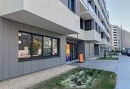 Wohnung mit Balkon für Singles oder Pärchen - Nähe U1 Kagran