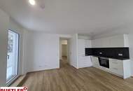 Großzügige Terassenwohnung mit Fernblick