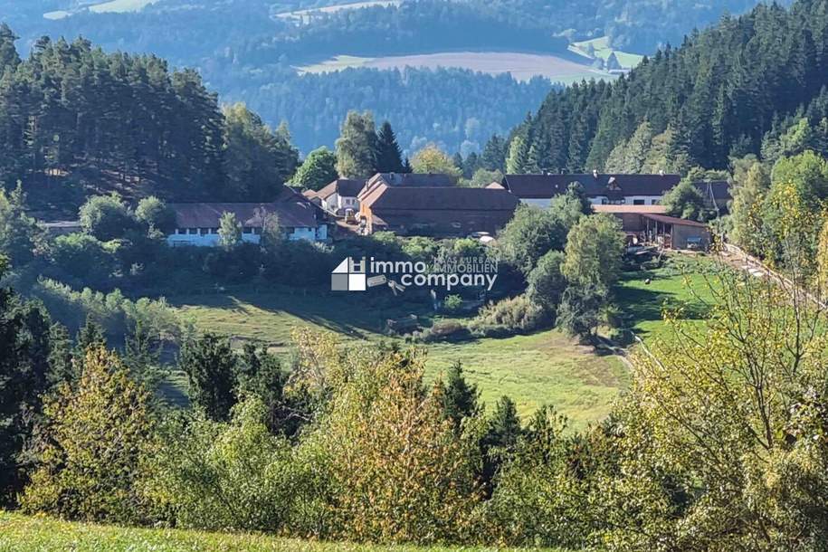Mühlviertler Hof mit 15,2 ha in Alleinlage – Paradies für Visionäre, Familien & Gemeinschaftsprojekte, Gewerbeobjekt-kauf, 4294 Freistadt