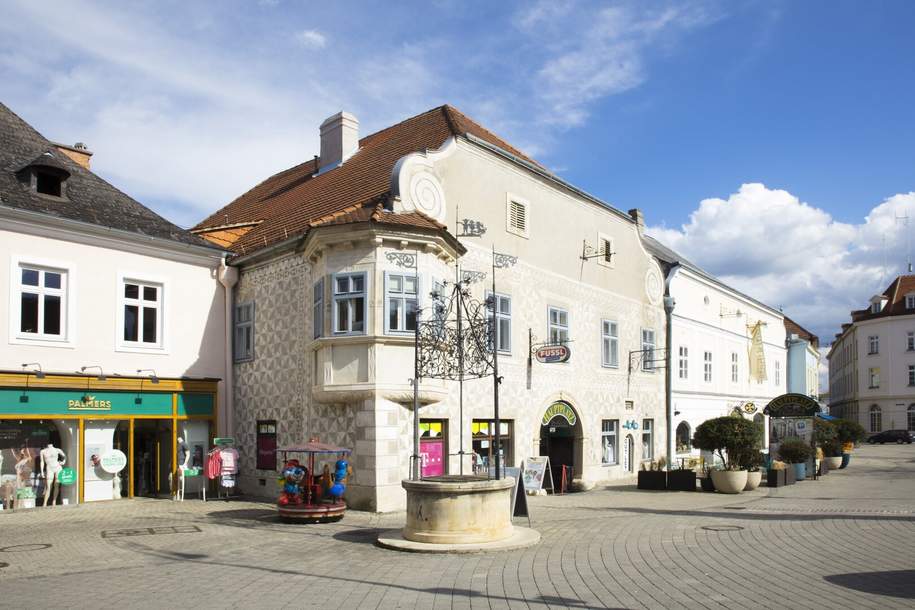 Großraum Geschäft in der Einkaufpassage Neunkirchen zu mieten!, Gewerbeobjekt-miete, 3.541,67,€, 2620 Neunkirchen