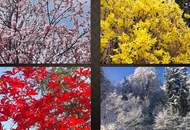 Wo Stille berührt. Wo Luxus beginnt. Wo Zuhause entsteht.