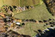 Weingarten mit Landwirtschaft und Altbestand in Kranach, Gemeinde Gamlitz