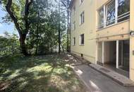 Erstbezug nach Teilsanierung, Terrassenwohnung im Grünen // First occupancy after part-renovation, Terrace Apartment in the greenery //