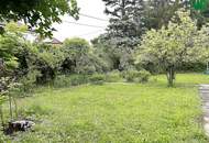 Grünes Refugium in Hietzing – 627 m² Gartengrund mit charmantem Wochenendhaus