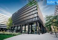 Repräsentatives Geschäftslokal in erstklassiger Lage