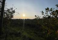 Das Weinviertel genießen mit Haus und traumhaftem Grundstück!