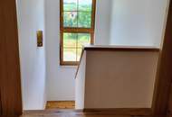 NEUBAU BJ 2024 NÄHE TULLN MIT GROSSEM GRUNDSTÜCK