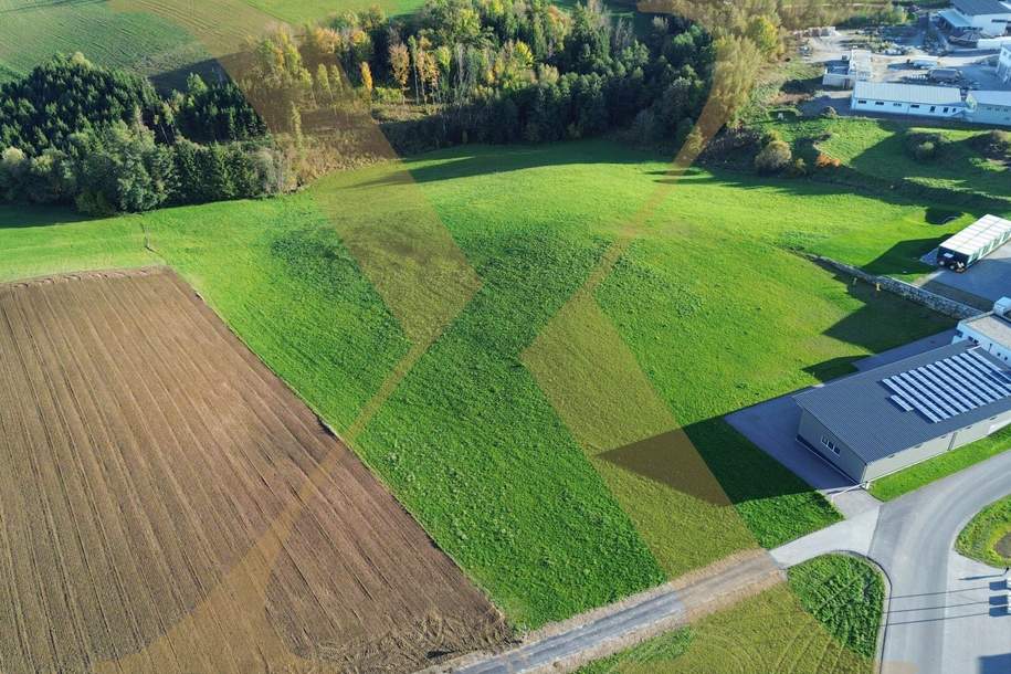 Ca. 3.000m² großes Grundstück in Altenfelden zu verkaufen!, Grund und Boden-kauf, 353.760,€, 4121 Rohrbach