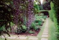 Ihr Neues Zuhause in Wasser-, Freizeit-, Sport und Naturparadies bei Wien