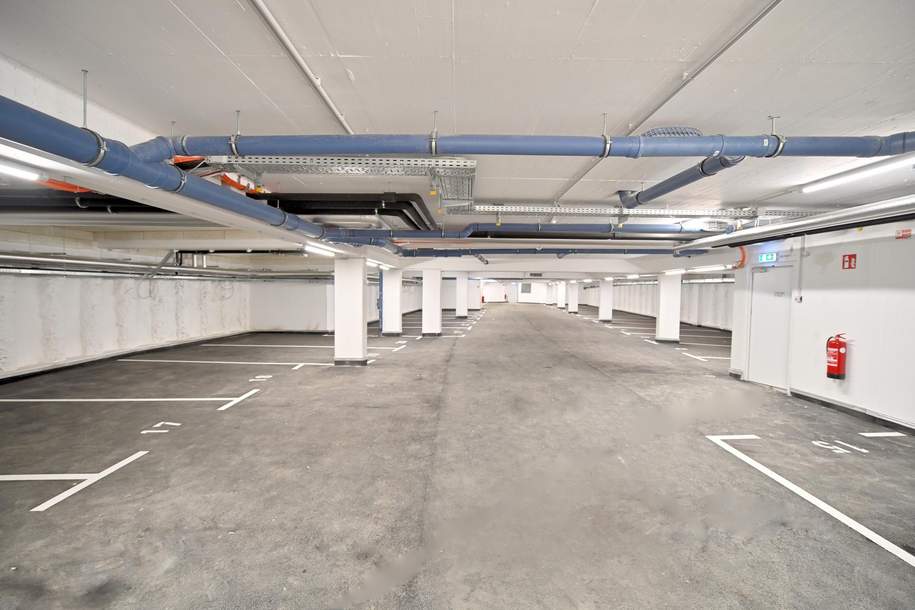 Tiefgaragenstellplatz beim Hauermandl Sievering Stpl.Nr. 29, Kleinobjekte-kauf, 37.500,€, 1190 Wien 19., Döbling