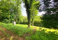 Idyllischer Baugrund am Waldrand mit romantischem Panoramablick über die Wienerwaldgemeinde Eichgraben