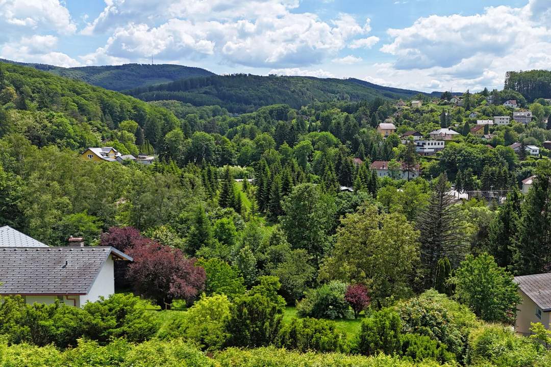 Sonniger Südhang in Grünruhelage mit Fernblick - perfekt für Ihr Traumhaus!