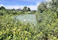 Traumhaftes Grünland Grundstück mit Fischteich in Prellenkirchen 18064m2 – Ihr Platz für Visionen!