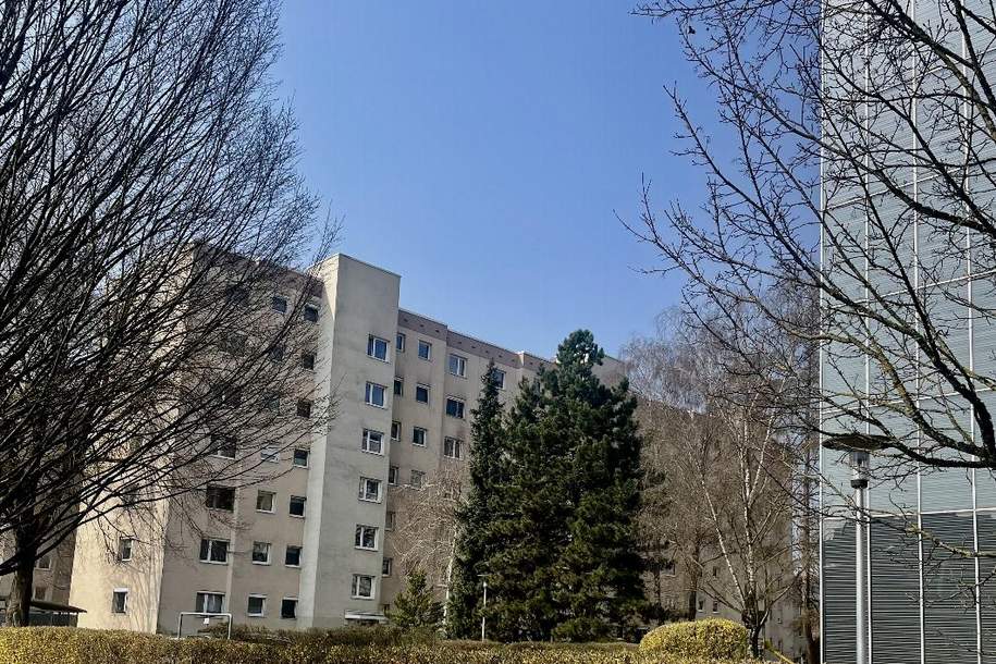 Geräumige Wohnung in Toplage am Bindermichl!, Wohnung-kauf, 4020 Linz(Stadt)