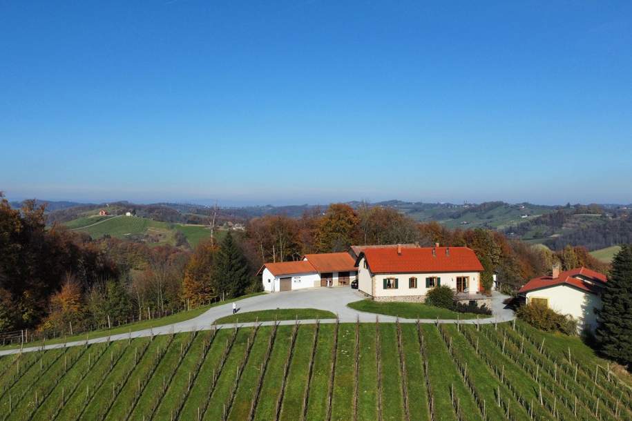 IN SLOWENIEN - Weingut in spektakulärer Alleinlage mit traumhafter Aussicht!, Haus-kauf, 790.000,€, 8472 Leibnitz