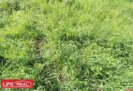 Vielseitiges Grundstück in wachstumsstarker Region