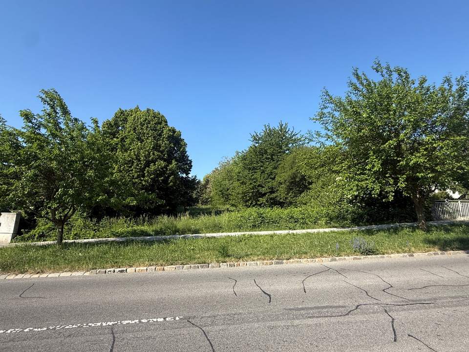 Großzügiges Baugrundstück in Seenähe