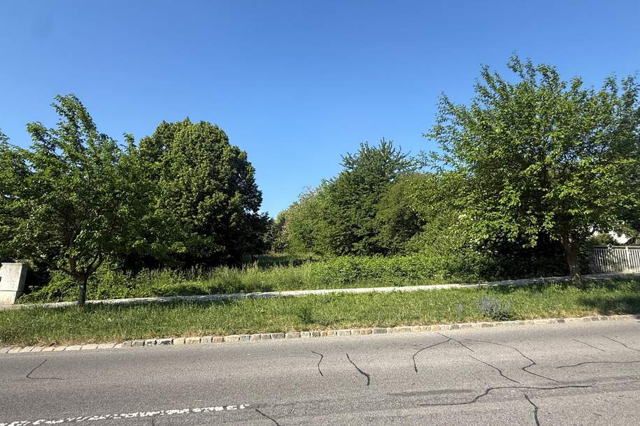 Großzügiges Baugrundstück in Seenähe, Grund und Boden-kauf, 599.000,€, 7035 Eisenstadt-Umgebung