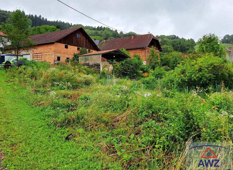 Bauernhof mit ca. 6 ha und Naturverbundenheit!