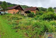 Bauernhof mit ca. 6 ha und Naturverbundenheit!