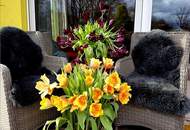 PENTHOUSE der Extraklasse – auf über 300 m² Nutzfläche. PURE FREIHEIT auf 143 m² XXL-Dachterrasse.